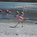 133_CIMG0399