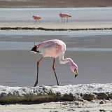 135_IMGP3195
