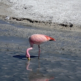 137_CIMG0400