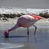 139_IMGP3196