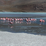 140_CIMG0401