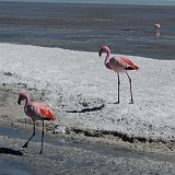 143_CIMG0402