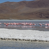 145_IMGP3198