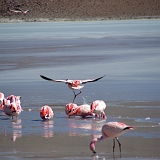 149_IMGP3199