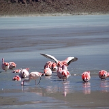 153_IMGP3200