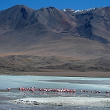 155_CIMG0414