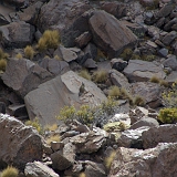 023_IMGP2780
