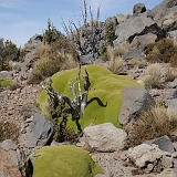 026_IMGP2787
