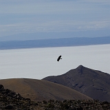 035_IMGP2795