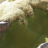 043_IMGP2805