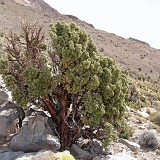 063_IMGP2829A
