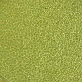 068_IMGP2833