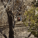 087_IMGP2848