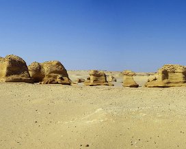 Le Wadi El Hitan. En plus de somptueux paysages désertiques, nous verrons des squelettes de baleine !