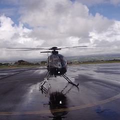 BI_Helico
