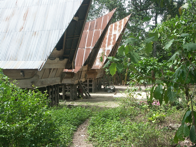 Batak_PICT0103.JPG
