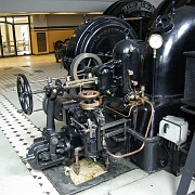 IMGP2004