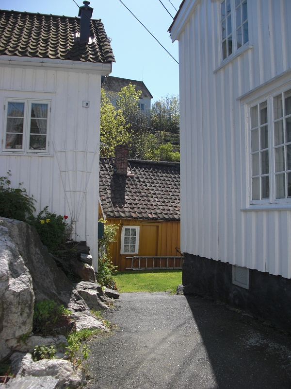 CIMG0045.JPG