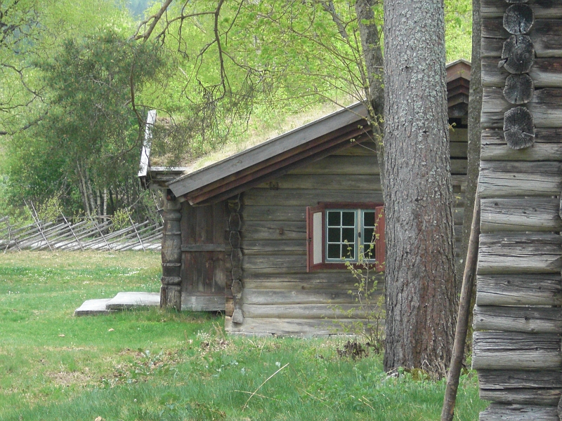 CIMG0094.JPG