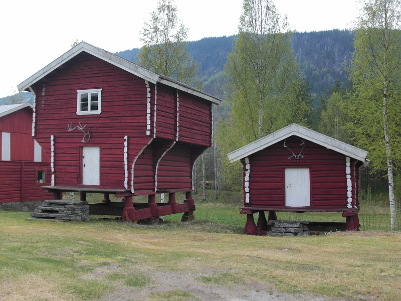 CIMG0124.JPG