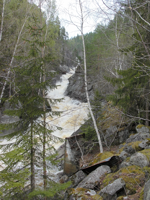 CIMG0136.JPG