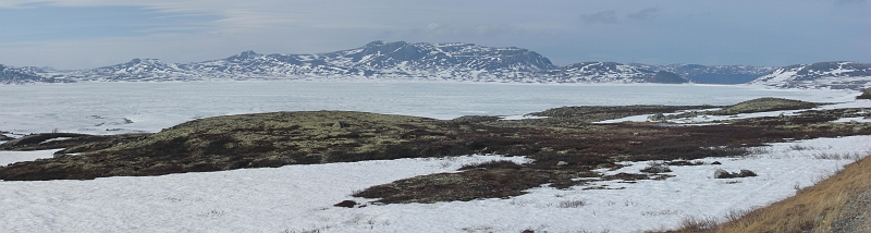 CIMG0220_0222.JPG