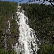 IMGP1954