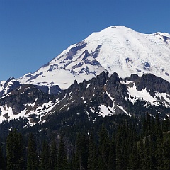 0494_0496_M