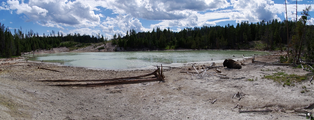 1407_1409_M.JPG - Un petit lac avec solfatares et bison.