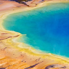 Yellow_2