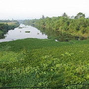 IGP0623